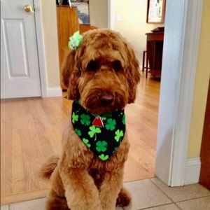 Meet your Posher, Patricia